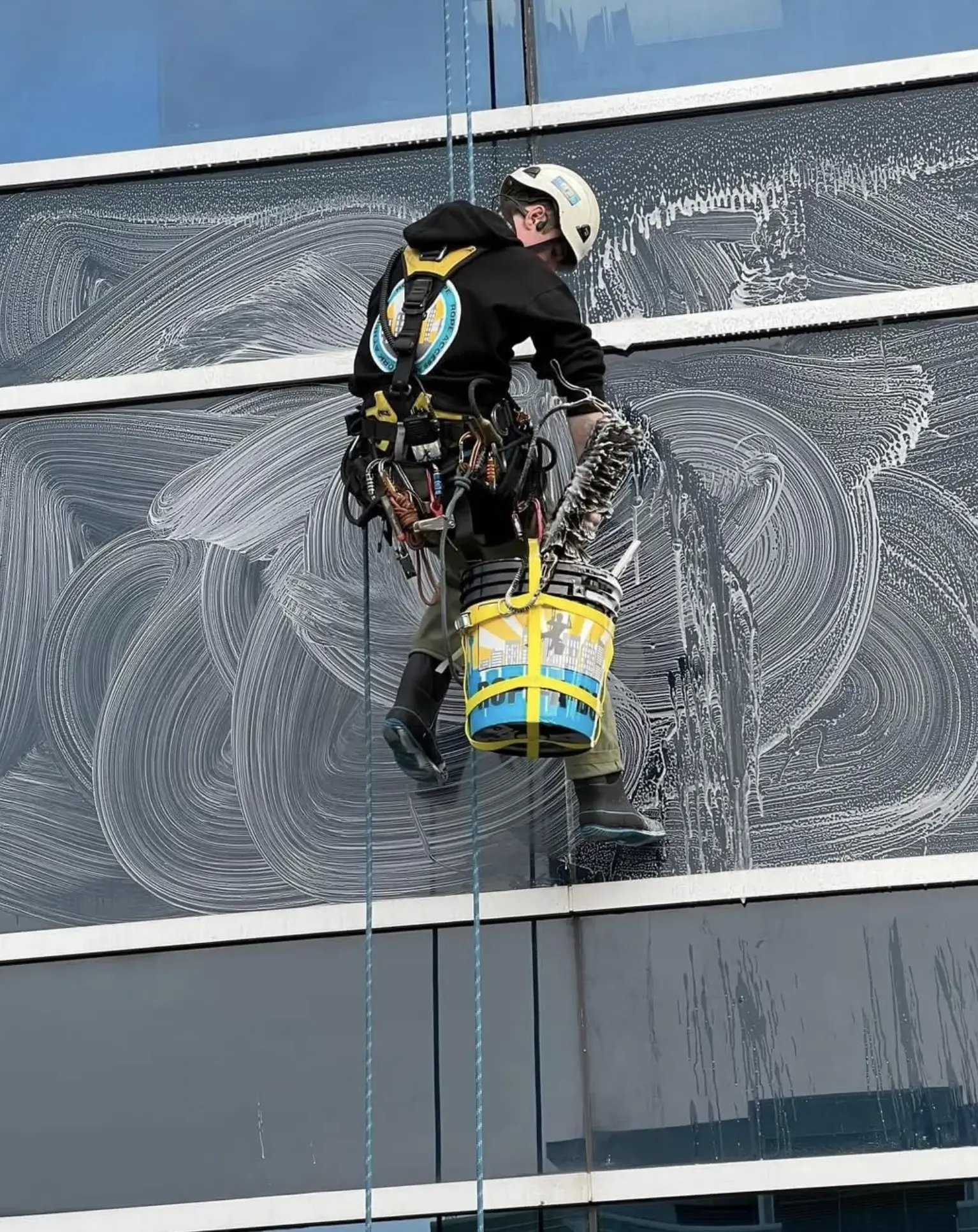 Professional Window Cleaners