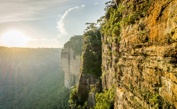 Discover the Best Hiking Trails in the Blue Mountains | Sydney Day Trip Guide