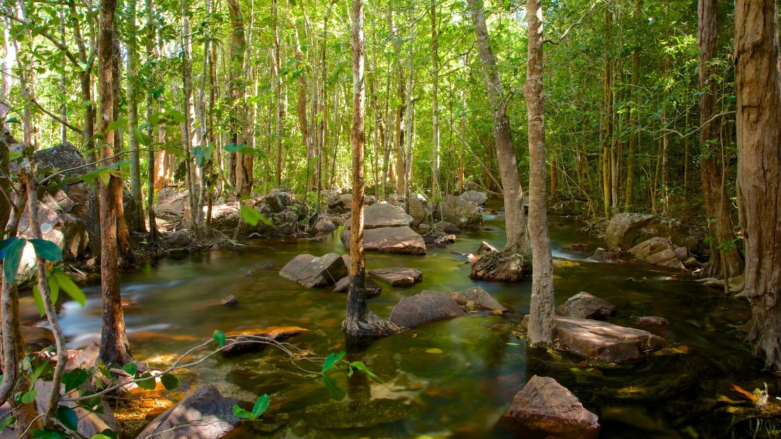 Discover the Beauty of Litchfield National Park on a Guided Excursion