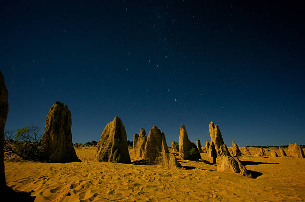 Discover the Enchantment of The Pinnacles National Park at Night