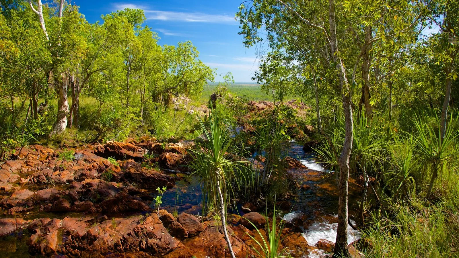 Explore the Majesty of Litchfield National Park: A Comprehensive Visitor’s Guide