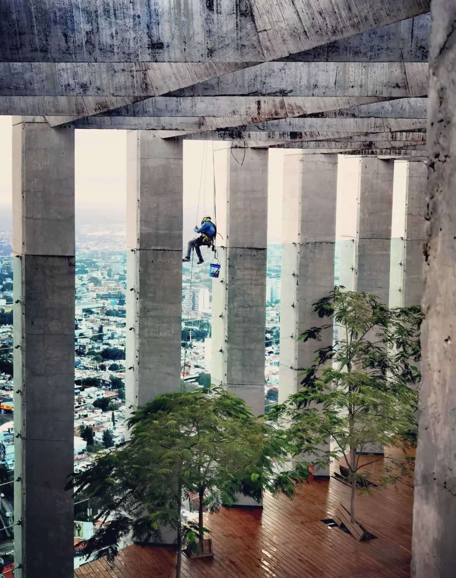 What is the number one hazard faced by professional window cleaners?